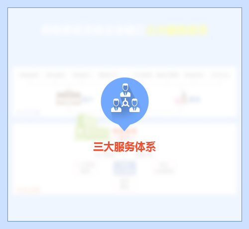 三大服務體系