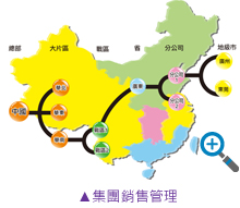 集團(tuán)銷售管理